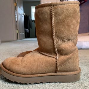 Plain classic beige uggs 🤎